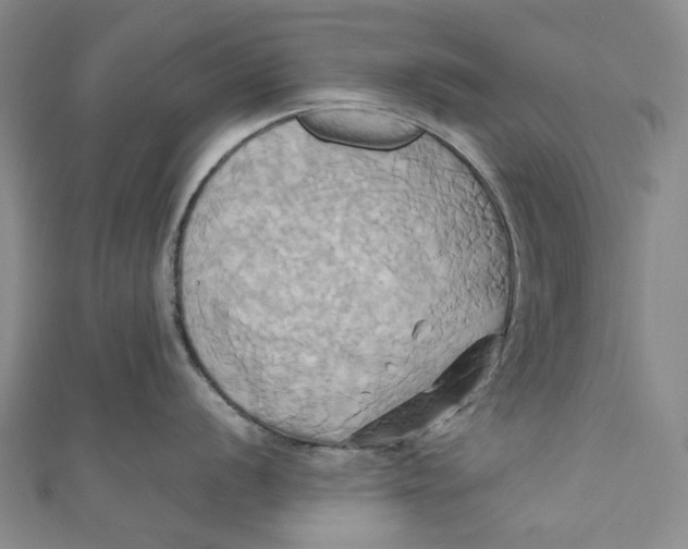 X0000110971056200907101345