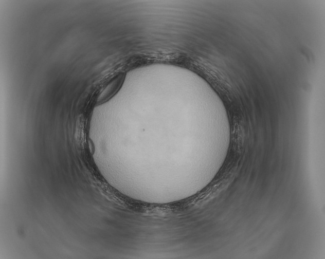 X0000110971058200907101344