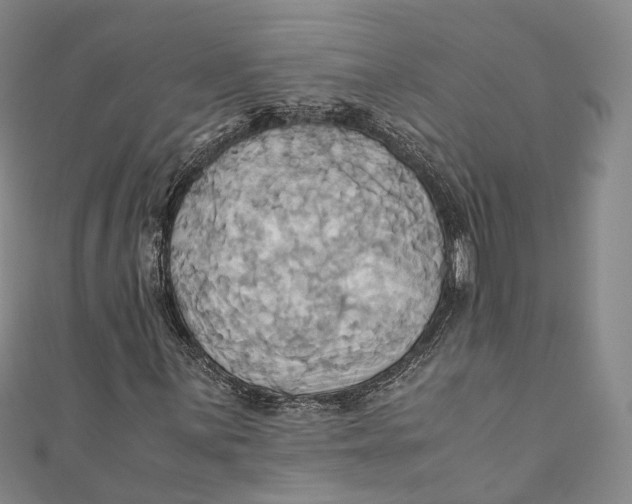 X0000110971059200907101344