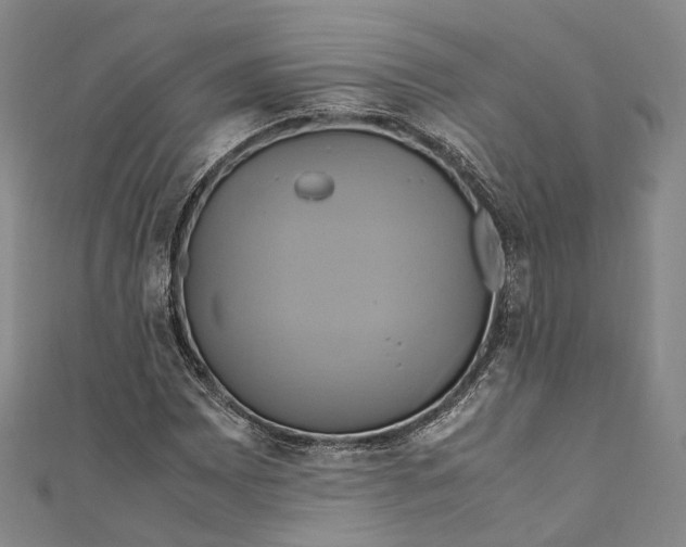 X0000110971065200907101344