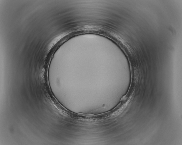 X0000110971066200907101344