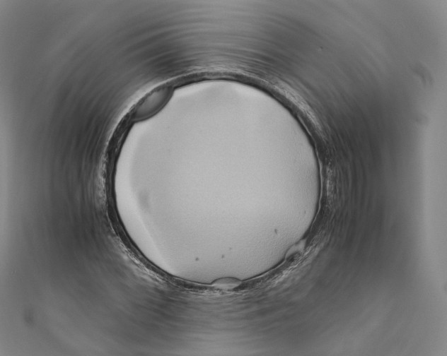 X0000110971068200907101344