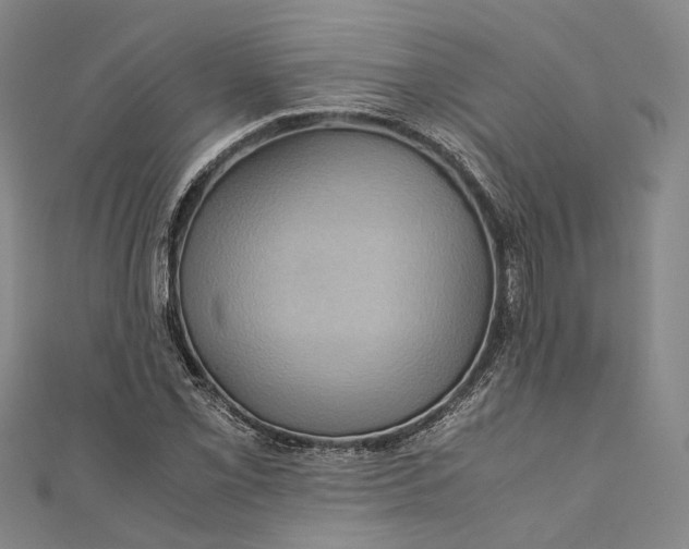 X0000110971069200907101344