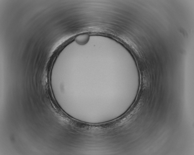 X0000110971070200907101344