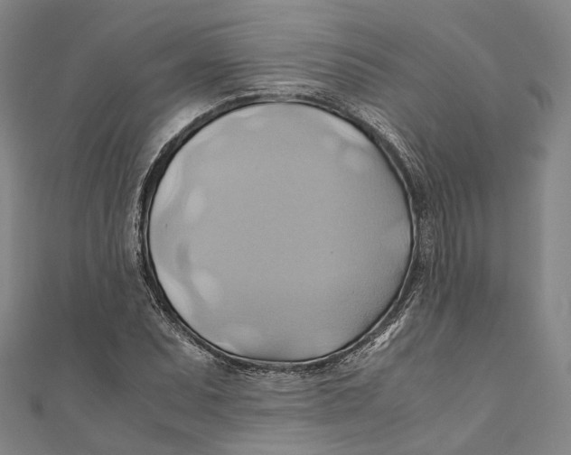 X0000110971071200907101344