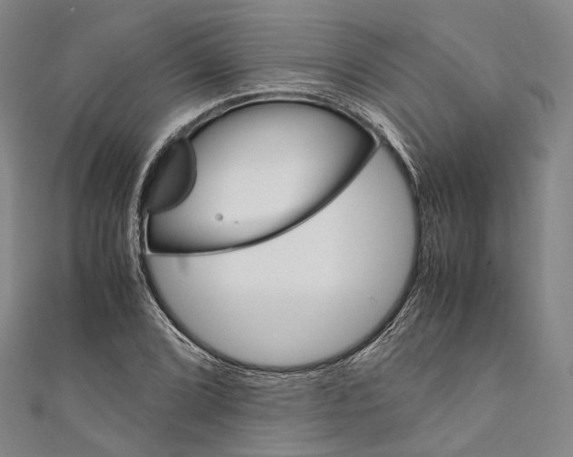 X0000110971072200907101344