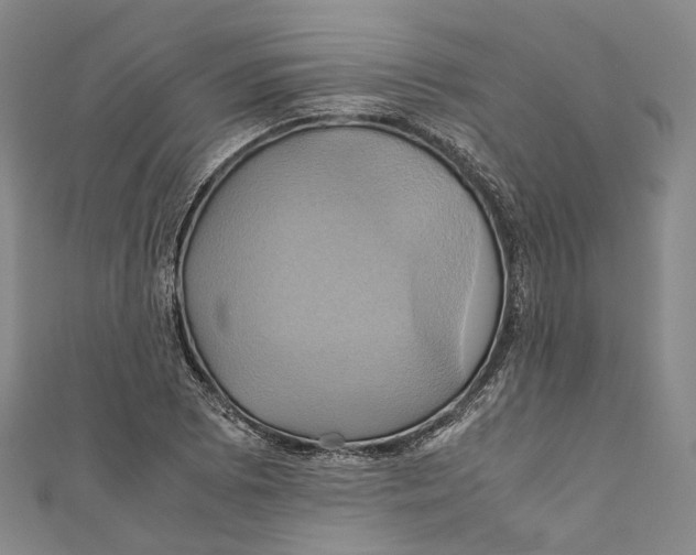 X0000110971073200907101344