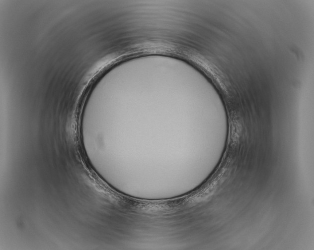 X0000110971074200907101344