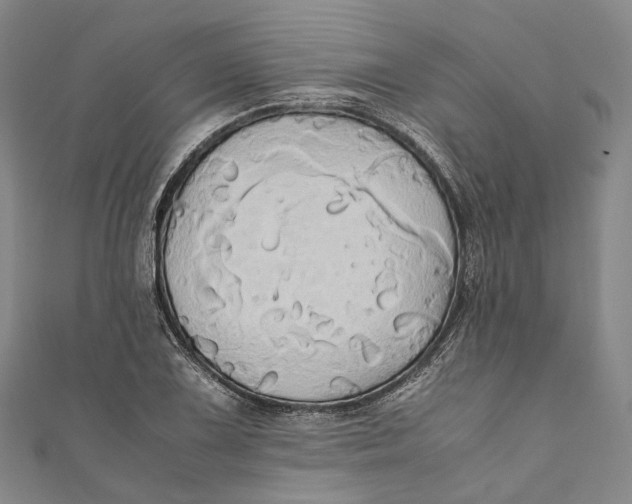 X0000110971075200907101344