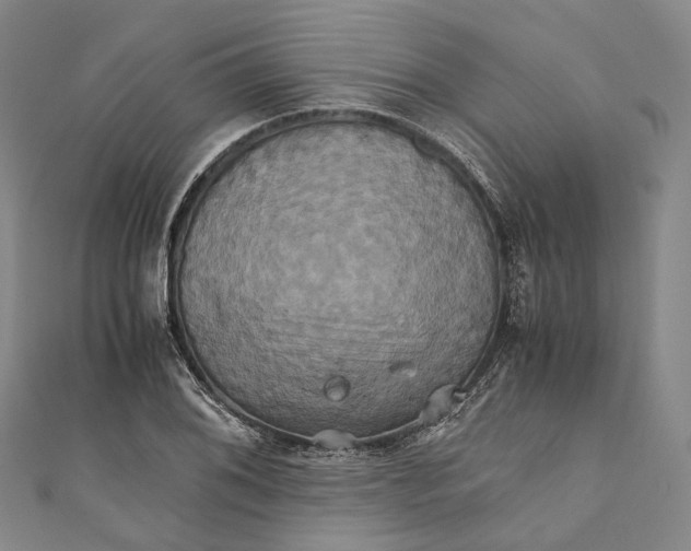 X0000110971076200907101344