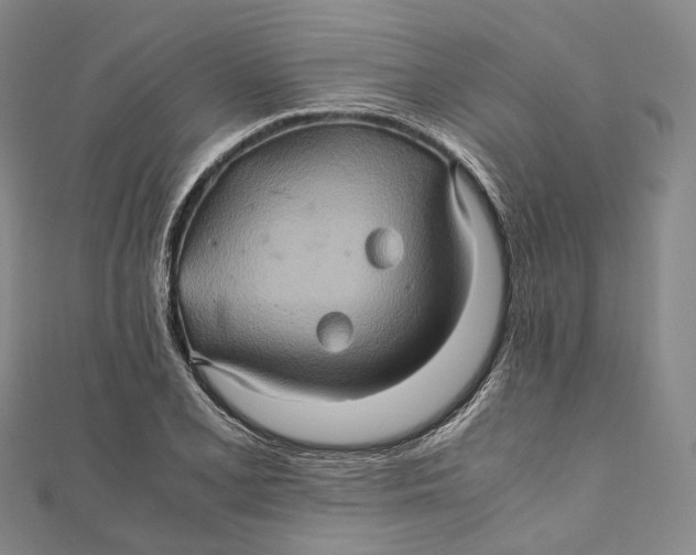 X0000110971077200907101344