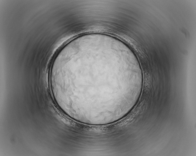 X0000110971078200907101344