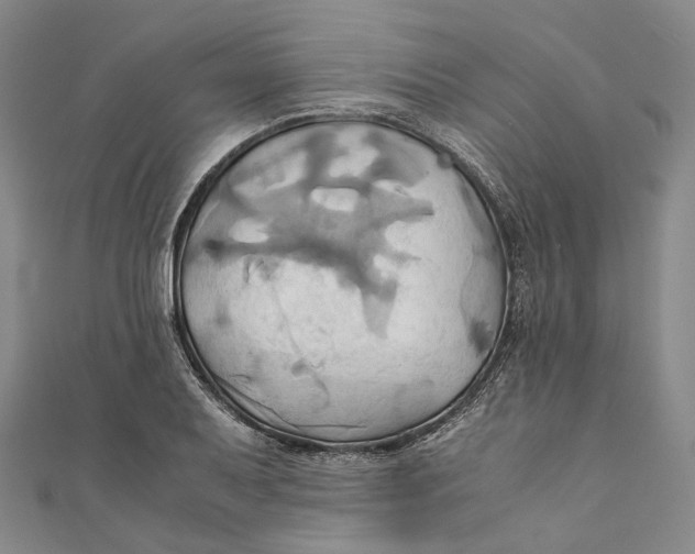 X0000110971079200907101344