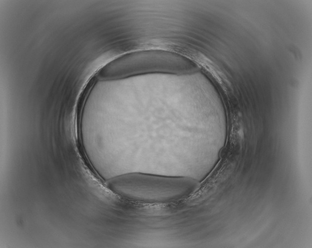 X0000110971080200907101344