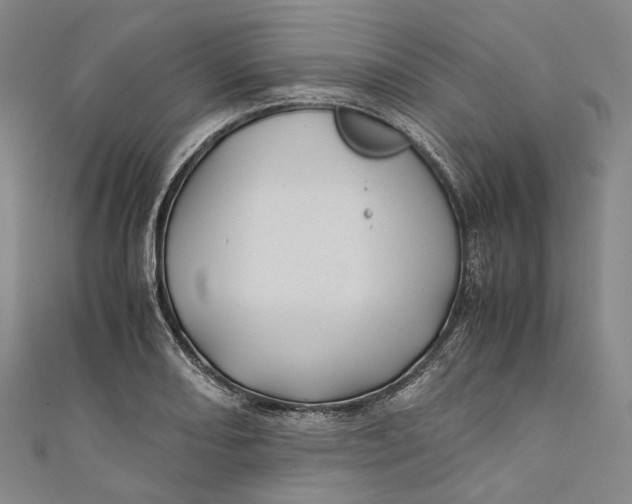 X0000110971082200907101344