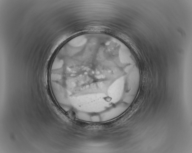 X0000110971083200907101344