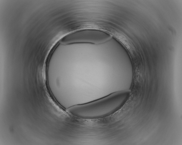 X0000110971084200907101344