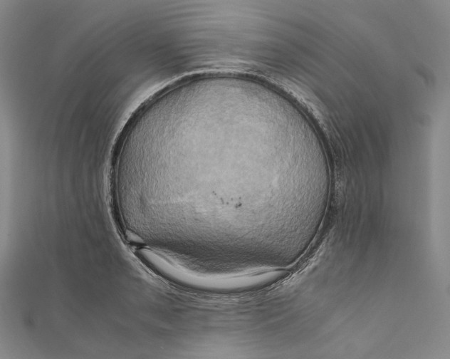 X0000110971085200907101344