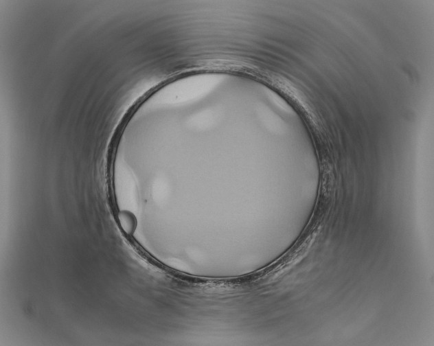 X0000110971087200907101344