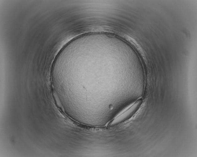 X0000110971089200907101344