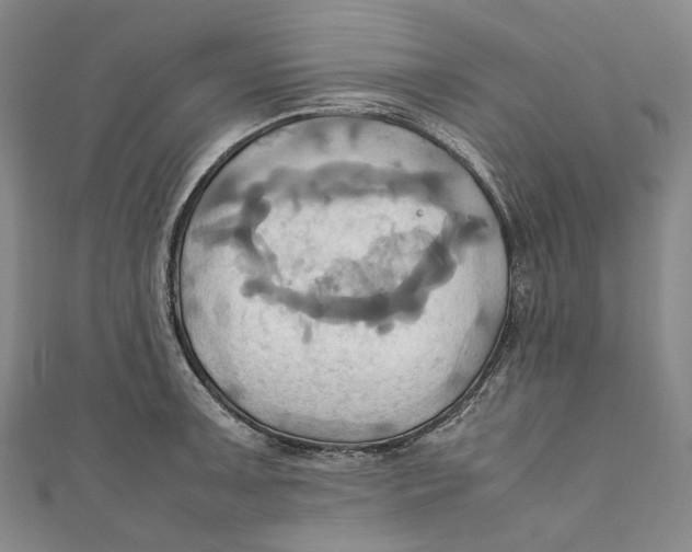 X0000110971091200907101344