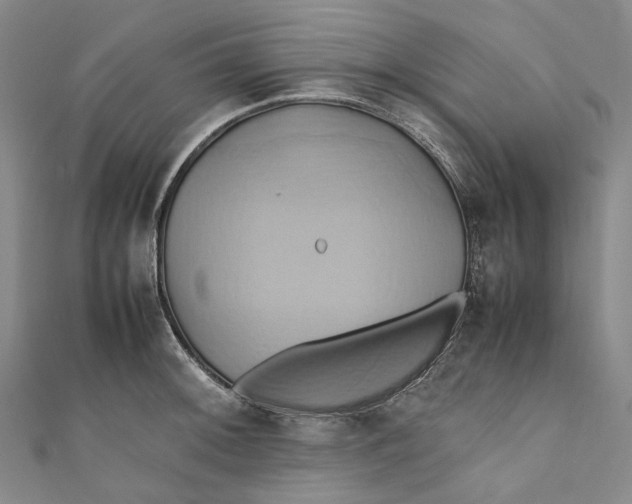 X0000110971092200907101344