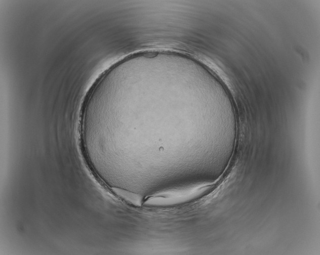 X0000110971093200907101344