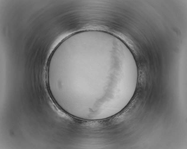 X0000110971094200907101344