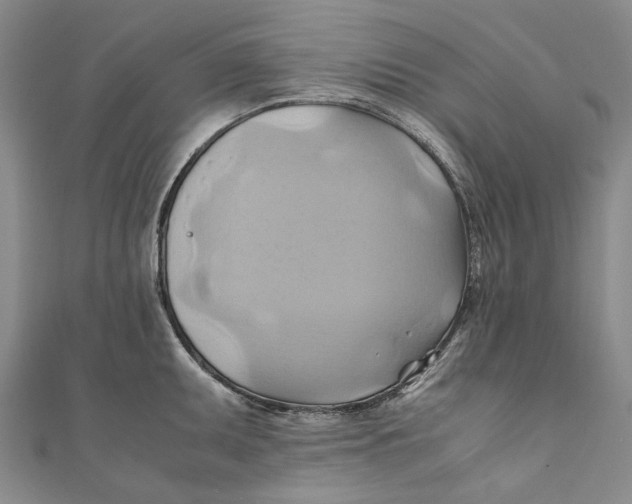 X0000110971095200907101344