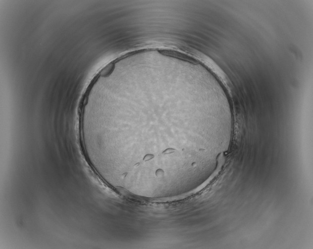 X0000110971096200907101344