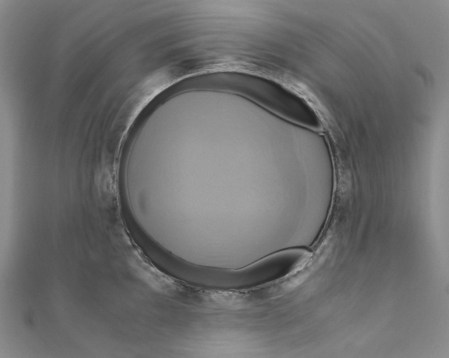 X0000110971097200907101344