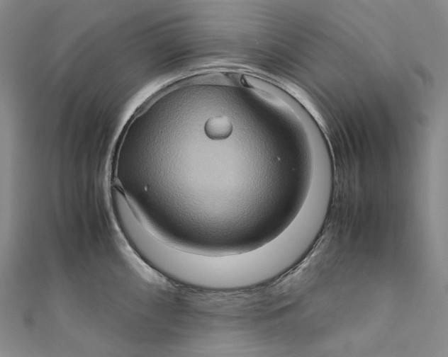 X0000110971098200907101344