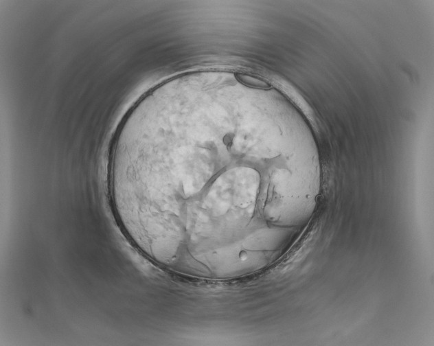 X0000110971099200907101344