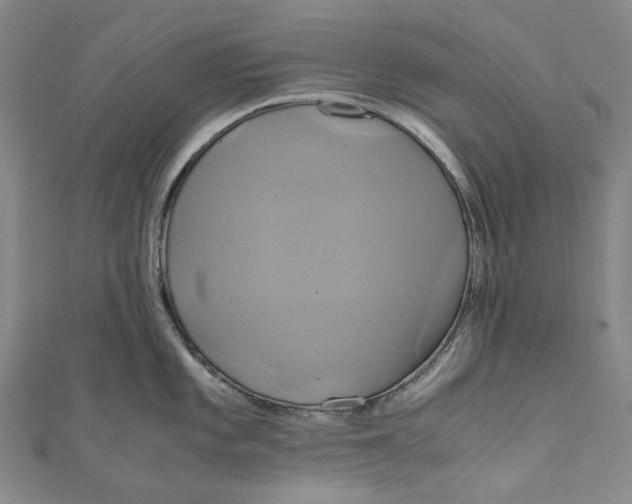 X0000110971101200907101344