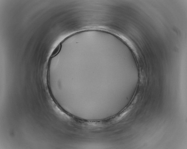 X0000110971102200907101344