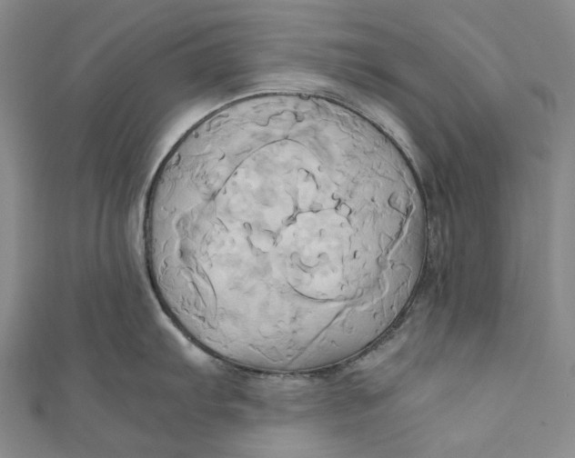 X0000110971103200907101344