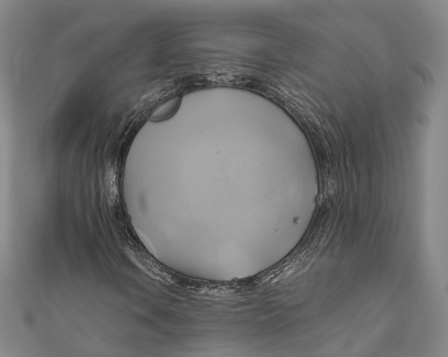 X0000110971106200907101343