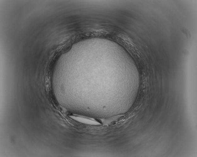 X0000110971109200907101343