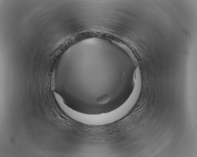 X0000110971110200907101343