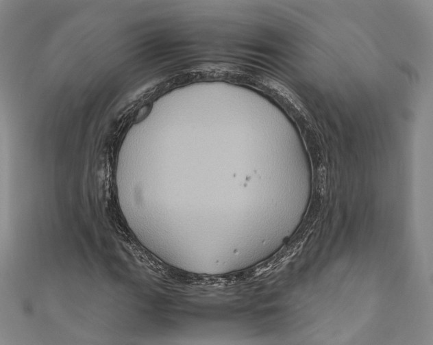 X0000110971111200907101343