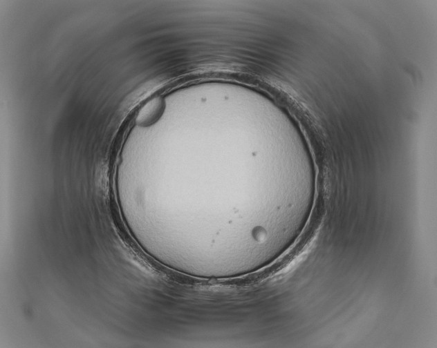 X0000110971113200907101343