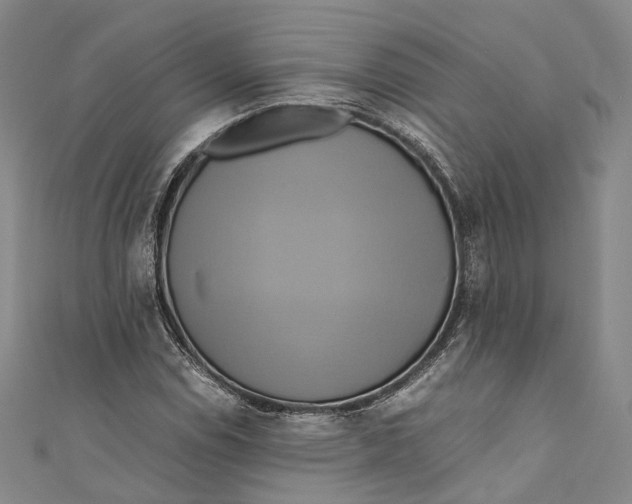 X0000110971114200907101343