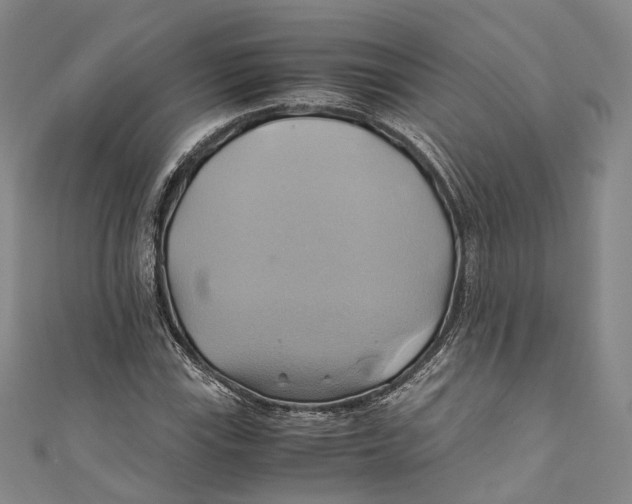 X0000110971115200907101343