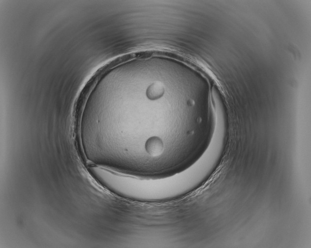 X0000110971116200907101343