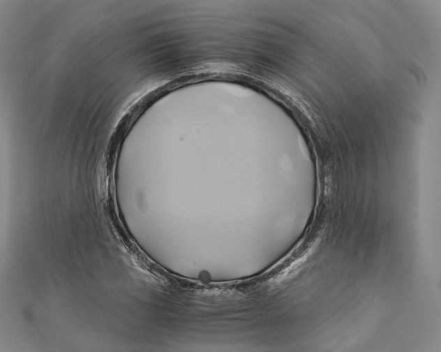 X0000110971117200907101343