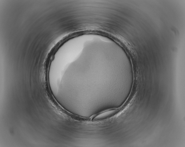 X0000110971118200907101343