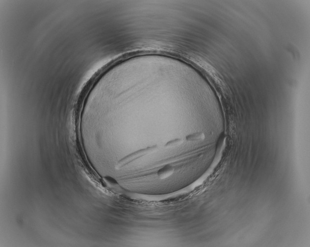 X0000110971120200907101343