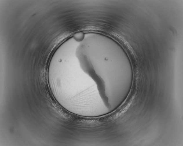 X0000110971121200907101343