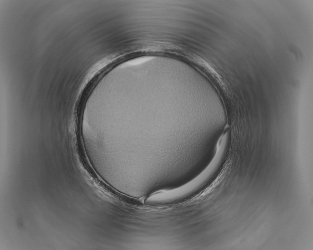 X0000110971122200907101343