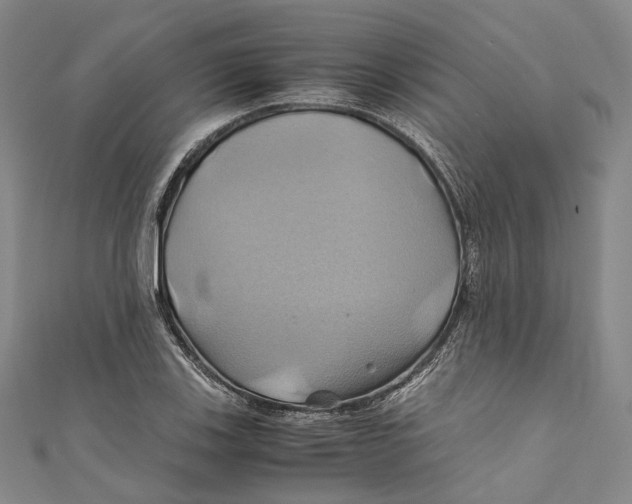 X0000110971123200907101343